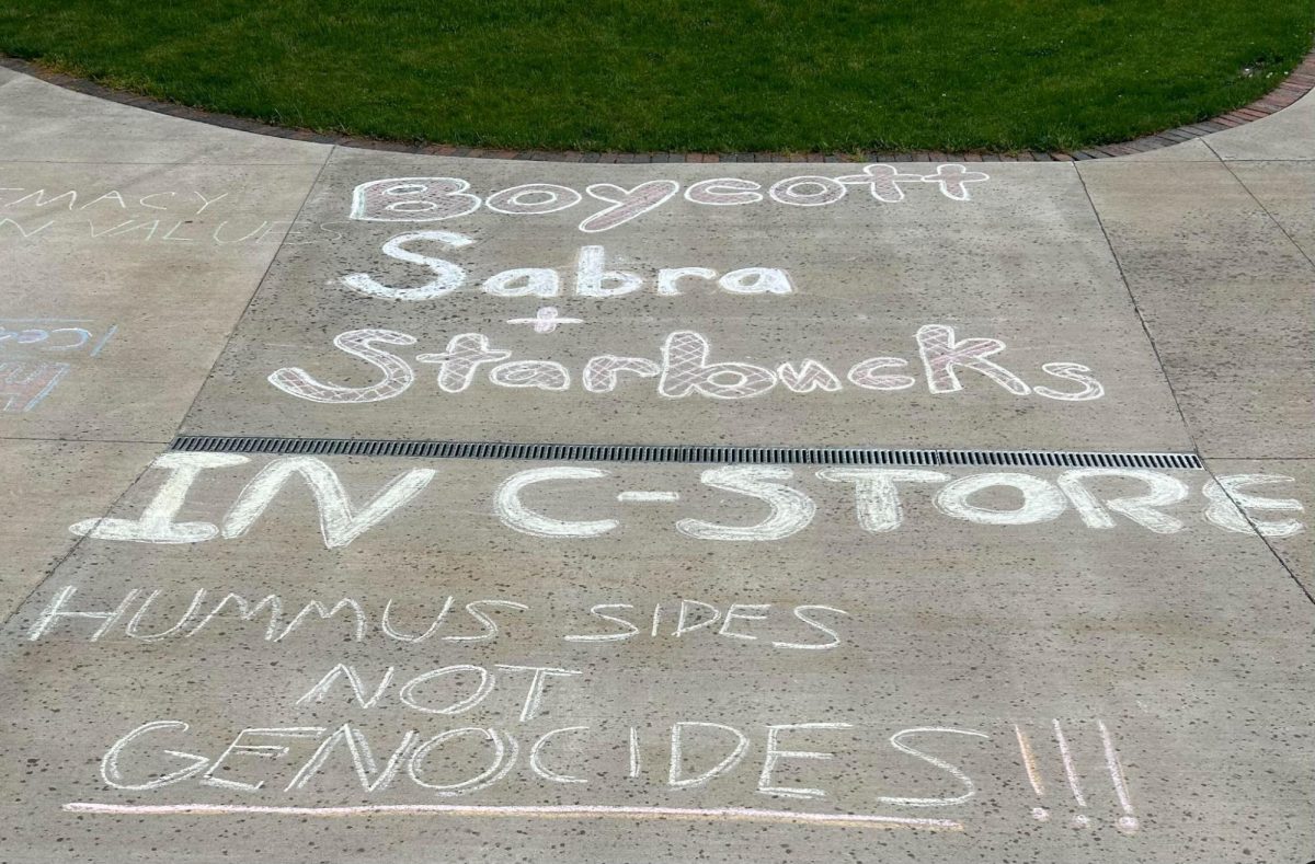 Chalked messages calling for the boycott - taken from the Pro-Palestine Protest in Spring 2024. 