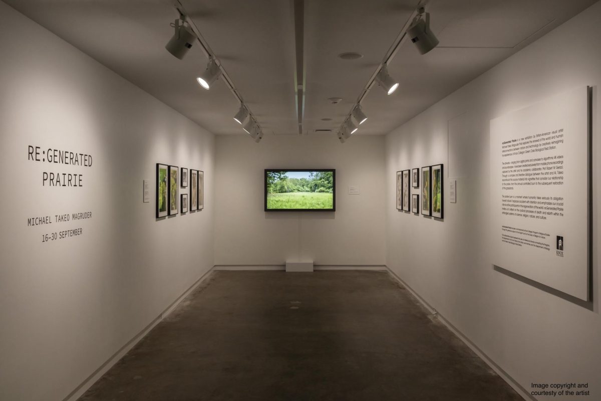 Re:Generated Prairie Exhibition. Knox College photo